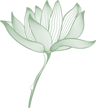 2 - About-viams