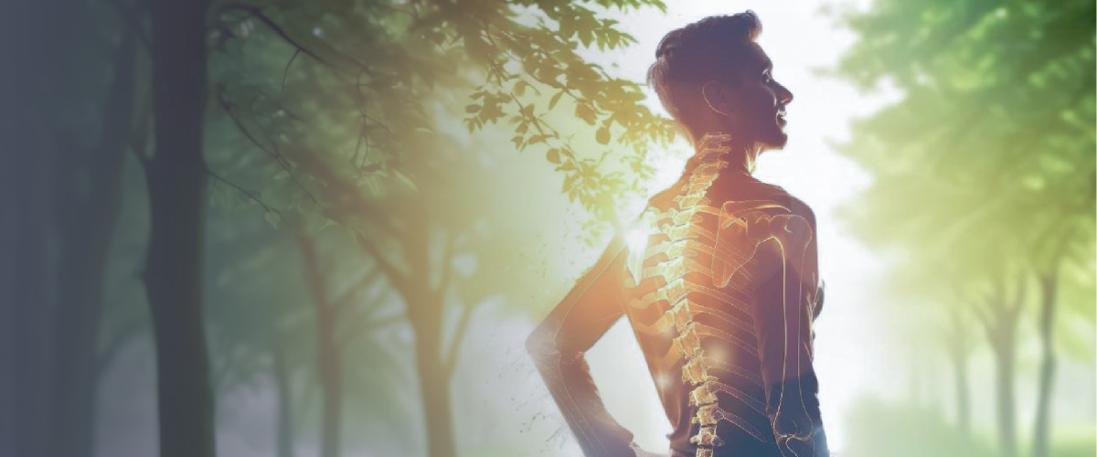 Spine Joint care 02 - Home